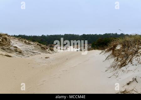 Dunes de sable de plage éloignée sur la Cape Henlopen State Park à New York, USA Banque D'Images