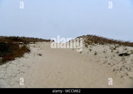 Dunes de sable de plage éloignée sur la Cape Henlopen State Park à New York, USA Banque D'Images