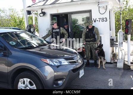 180207-N-SX614-016 KEY WEST, Floride (fév. 7, 2018) maître d'armes Seaman Vincent Mizzoni et chien de travail militaire Benga stand by d'inspecter les véhicules en tant que maître d'armes Seaman Brandon Paro vérifie une identification du conducteur au Naval Air Station Key West's in Sigsbee Park gate 7 février. L'inspection du véhicule mesure antiterroriste aléatoire a été réalisée dans le cadre de l'exercice Citadel Shield-Solid Rideau. Rideau est un Shield-Solid citadelle Marine annuel de lutte contre le terrorisme à l'échelle de l'exercice de la protection de la force visant à former et évalue les forces de sécurité de la Marine en réponse à des menaces sur des installations et des unités. Nous clé NAS Banque D'Images