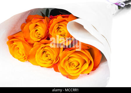 Roses exquis isolé sur fond blanc. Studio Photo Banque D'Images