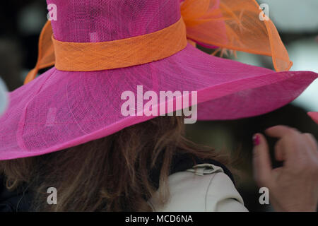 Leesburg, États-Unis. 15 avril 2018. États-unis : 15 avril 2018 : chapeaux colorés pour aider à célébrer le printemps à la 52e assemblée annuelle de recherche de Loudoun Point to Point courses qui ont eu lieu à Oatlands plantation près de Leesburg. (Photo par Douglas Graham/Loudoun maintenant) Banque D'Images