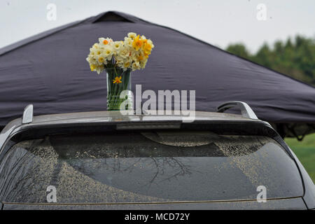 Leesburg, États-Unis. 15 avril 2018. États-unis : 15 avril 2018 : la jonquille et une voiture poussiéreuse à la 52e assemblée annuelle de recherche de Loudoun courses Point à Point à Oatlands plantation près de Leesburg. (Photo par Douglas Graham/Loudoun maintenant) Banque D'Images