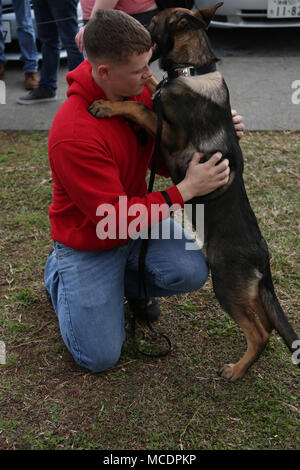 Single Marine Program est une initiative du corps des Marines des États-Unis qui parraine des activités récréatives pour les militaires stationnés dans des installations militaires. Un Marine a interagi avec un berger allemand de quatre mois lors de la Journée du chien le 17 février 2018 au Camp Foster, à Okinawa, au Japon. L'image d'archives enregistre la participation à l'activité de base axée sur le moral. Banque D'Images