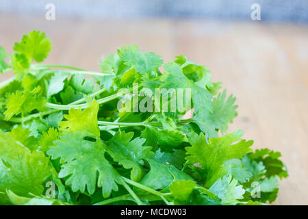 Sur la table de coriandre Banque D'Images