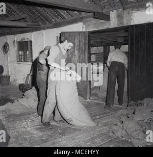 Années 1950, Kent, Angleterre, Royaume-Uni, tableau historique des travailleurs agricoles en mettant l'homme sacs de jute de houblon sur le premier étage d'une maison Oast pour sécher. Banque D'Images