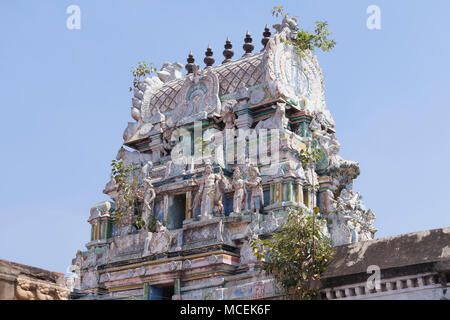 L'Asie, l'Inde, le Tamil Nadu, Tirundhuthevankudi Karkadeswarar, Temple Sri Banque D'Images