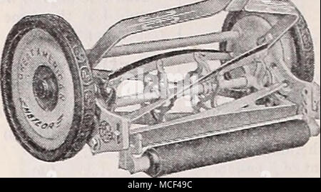 . Great American Meteor construit de l'aluminium par "Florida". Ce tout nouveau modèle de tondeuse est le dernier mot de tondeuse à la construction. Il est considérablement plus léger que ordinar&gt ; tondeuses" et donc plus facile à pousser, mais elle détient de façon constante pour atteindre le sol, même lors de la coupe d'épaisseur de graminées. Deux vis, équipé de ressorts en spirale, permettent un réglage simple et rapide de la lame inférieure. Toutes les réunions de l'ours sont emballés dans de la graisse. Le 10 pouces roues sont équipées de pneus en caoutchouc et le rouleau est couvert de caoutchouc résultant dans pratiquement. Coupe de 16 pouces, 35 livres, S 18,4 S. Coupe de 19 pouces. 38 Banque D'Images