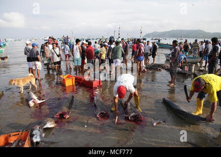 Le village de pêcheurs de Puerto Lopez à la côte du Pacifique de l'Équateur matin attraper Banque D'Images