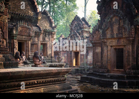 Temple de Banteay Srei, temple hindou du 10ème siècle, Angkor, site du patrimoine mondial de l'Asie Cambodge Banque D'Images