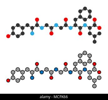 Leu-enképhaline peptide opioïde endogène molécule. Les rendus 2D stylisée. Illustration de Vecteur