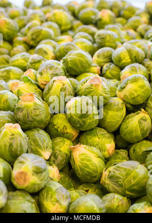 Tas de matières les choux de Bruxelles dans une pile au marché de fruits et légumes Banque D'Images