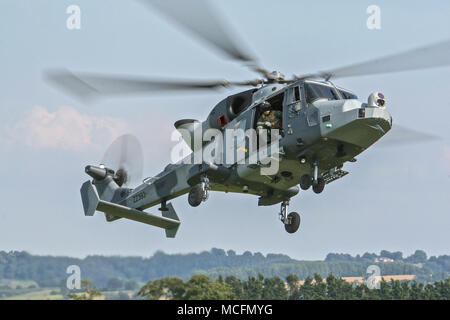Wildcat AH Mk 1 Banque D'Images