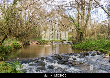 La rivière qui passe à côté de Margaret Sid's Meadow, dans l'adieux, Sidmouth. L'un des meilleurs cours d'eau, 6 km de long. Banque D'Images