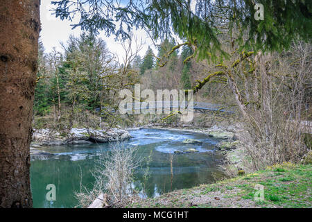 Pont et arbres moussus cascade du Saut du Doubs à proximité de la Suisse Banque D'Images