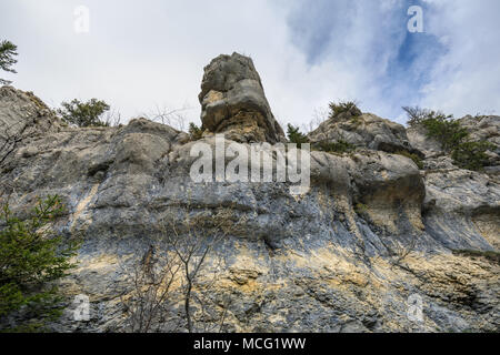 Le Rock comme un visage près de la cascade du Saut du Doubs dans la région de Jura suisse Banque D'Images