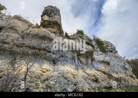 Le Rock comme un visage près de la cascade du Saut du Doubs dans la région de Jura suisse Banque D'Images