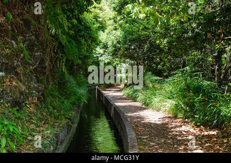 Canal d'irrigation de l'eau, appelé levada, et sentier de randonnée à proximité. Tous deux exécutés à travers la jungle verte de l'île de Madère, au Portugal. Banque D'Images