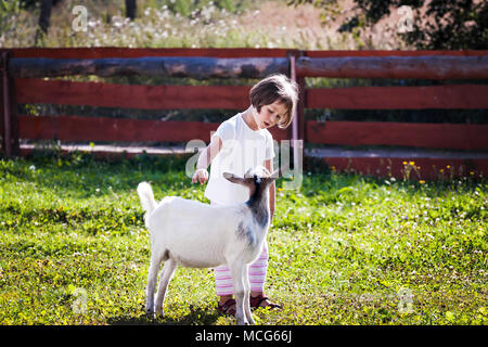 Petite fille (3 ans) de caresser et parler à une chèvre à la ferme. Banque D'Images