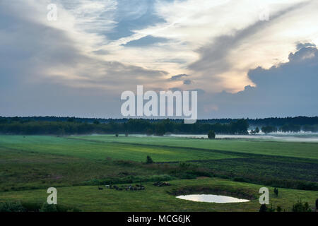 Paysage du village avec des stries de brume en Pologne Banque D'Images