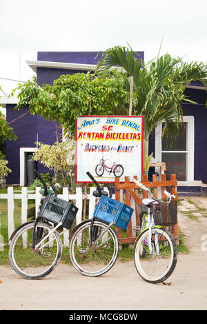 Vélos à louer Isla Holbox est une île au nord de la péninsule du Yucatán MexicoÕs‡n, dans l'État de Quintana Roo Banque D'Images