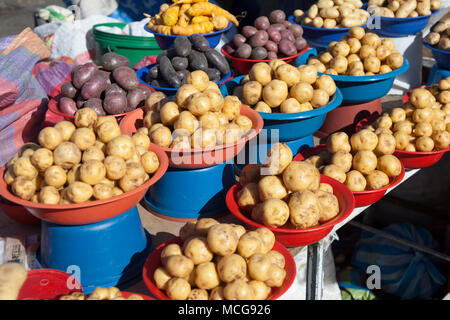 Partie de pomme de terre dans le marché andin, Equateur Banque D'Images