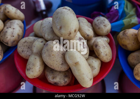 Partie de pomme de terre dans le marché andin, Equateur Banque D'Images