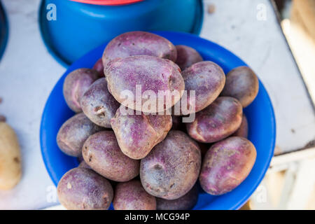 Partie de pomme de terre dans le marché andin, Equateur Banque D'Images