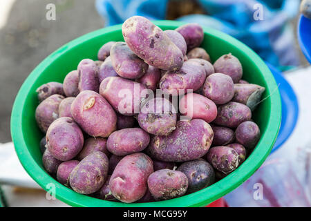 Partie de pomme de terre dans le marché andin, Equateur Banque D'Images