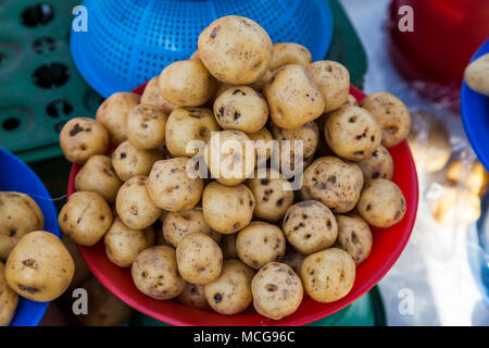 Partie de pomme de terre dans le marché andin, Equateur Banque D'Images