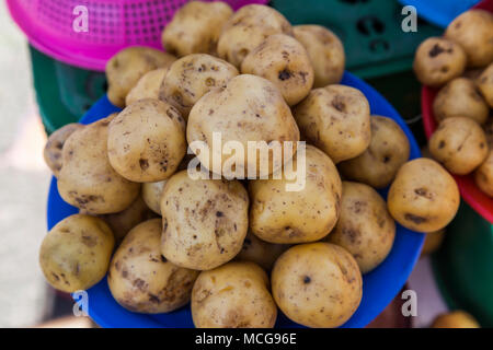 Partie de pomme de terre dans le marché andin, Equateur Banque D'Images