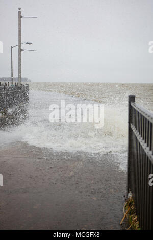 LUNA PIER, Michigan, le 15 avril 2018 : plus de 200 résidents de Luna Pier vivant le long du lac Érié ont dû être évacués en raison d'inondations lakeshore après plusieurs jours de pluies torrentielles. Crédit : David Gaunt/Alamy Live News Banque D'Images