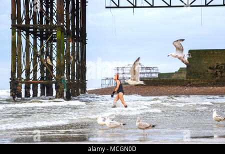 Brighton UK 17 avril 2018 - Membre du Club de natation de Brighton dans la mer par le Palace Pier de Brighton sur un brillant mais breezy tôt le matin . Le temps devrait se réchauffer de façon spectaculaire au cours des prochains jours en Grande-Bretagne avec les températures devraient atteindre 25 degrés dans certaines régions du Sud à l'est photographie prise par Simon Dack Crédit : Simon Dack/Alamy Live News Banque D'Images