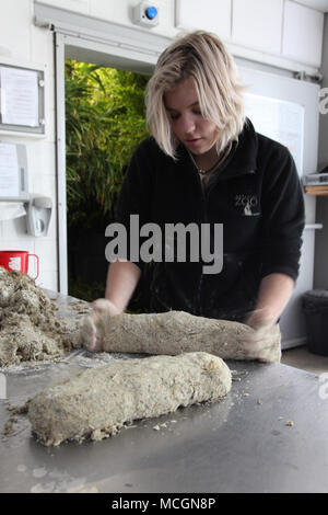 (180417) -- CANBERRA, 17 avril 2018 (Xinhua) -- Mikaela Teehan, un des gardiens, panda panda fait cake composé de feuilles de bambou râpé, les oeufs et la poudre de calcium, au Zoo d'Adélaïde, Australie du Sud, le 13 avril 2018. Wangwang et Funi sont le couple de pandas géants de la Chine, et qui vivent dans le Zoo d'Adélaïde depuis 2009. (Xinhua/Xu Haijing)(gj) Banque D'Images