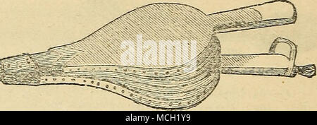 . NE'VV BELLOWS SERINGUE. Une invention française pour la douche avec les plantes-insectes tuant les liquides- remèdes connus peuvent être utilisés ou à l'eau claire pour nettoyer les plantes d'intérieur de la poussière et de garder le feuillage dans un état sain ; l'utilisation de la même manière que l'atomiseur ou vaporisez-arroseurs." Le liquide à utiliser est mis dans le monde entier et les soufflets en laiton travaillé : une fine pulvérisation dans copiotts issties ce flux qu'il est facile d'atteindre toutes les parties de la plante et il bedew avec quelque insecte-tuant liquide peut être souhaitable. Un grand avantage de cet appareil est son économie. Dans l'ordinaire Banque D'Images