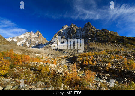 Automne doré en haute montagne. Sur le chemin de l'Ushba glacier. Le Grand Caucase, Svaneti, Géorgie. Banque D'Images
