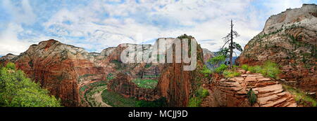 Panorama de Zion Canyon avec la formation rocheuse de Angels Landing, Zion National Park, Utah, USA, Amérique du Nord, qui descend Banque D'Images