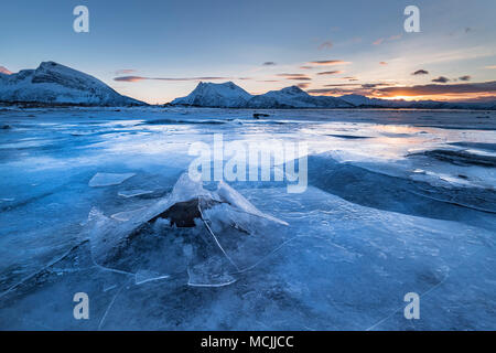 Fjord congelé avec de la glace brisée, la glace paysage, Gimsoy, Lofoten, Norvège Banque D'Images