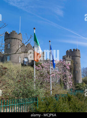 Château de Malahide Vue latérale, Dublin, Irlande, Europe, journée de printemps ensoleillée, ciel bleu, drapeau irlandais, l'Union européenne Drapeau, cherry blossom Banque D'Images