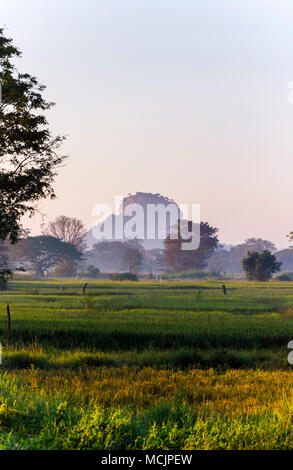 Vue du célèbre rocher de Sigiriya plus fertiles rizières dans misty morning light, Dumballa dans le triangle culturel du Sri Lanka Banque D'Images