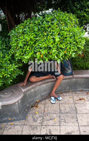 08.04.2018, Singapour, République de Singapour, en Asie - Un homme est assis sous un arbre dans le jardin public de la People's Park Complex dans Chinatown. Banque D'Images