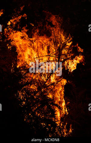 Maceda, Galice / Espagne - Oct 16 2017 : feu de forêt. Banque D'Images