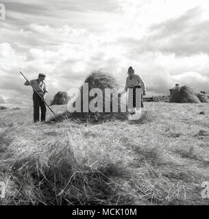 Années 1950, tableau historique d'un agriculteur avec une fourche et son épouse la collecte de foin récemment un champ fauché en petites meules, England, UK. Banque D'Images