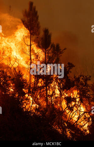 Maceda, Galice / Espagne - Oct 16 2017 : feu de forêt. Banque D'Images