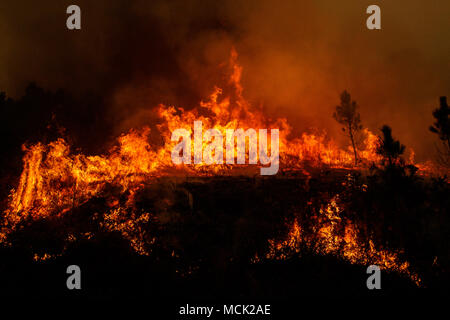 Maceda, Galice / Espagne - Oct 16 2017 : feu de forêt. Banque D'Images