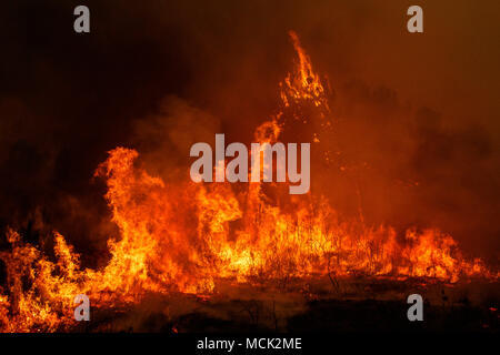 Maceda, Galice / Espagne - Oct 16 2017 : feu de forêt. Banque D'Images