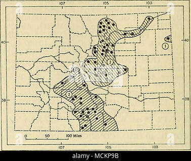 . Fig. 81. La distribution de Microtus pennsylvanicus dans le Colorado. 1. M. P. finitus. 2. M. P. modestus. 3. M. P. uligocola. Pour l'explication des symboles, voir p. 9. 5 mi. Sw Hooper, 2 (1, 1'AMNH DMNH) ; 9 mi. E Centre, 7 (AMNH). CUSTER COMTÉ : West- Cliffe, 7800, 1 (WC). RIO GRANDE comté : 8 mi. ENE Monte Vista, 1 (ASC) ; Del Norte, 2 (USNM) ; 8 mi. S Monte Vista, 7660 ft., 37 (UI). Washington Comté : Medano Ranch, 15 mi. NE Mosca, 2 (1) 1 WC, USNM ; Hooper, 2 (AMNH) ; à proximité du centre d'accueil, Great Sand Dunes National Monument, 1 (GSDNM) ; Mosca, 5 (WC) ; 1/2 mi. S Verracca Uracca [Pioneer] Cimetière, 8800 Banque D'Images