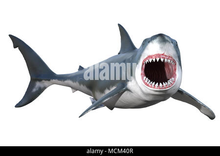 Grand requin blanc isolé sur blanc, 3D render Banque D'Images