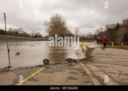 Météo temps frais et deux jours de pluie, neige et pluie verglaçante était trop pour la rivière Thames pour gérer comme il se leva sur ses rives Banque D'Images