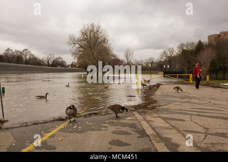 Météo temps frais et deux jours de pluie, neige et pluie verglaçante était trop pour la rivière Thames pour gérer comme il se leva sur ses rives Banque D'Images