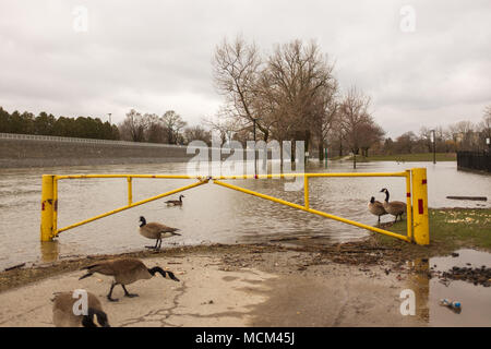 Météo temps frais et deux jours de pluie, neige et pluie verglaçante était trop pour la rivière Thames pour gérer comme il se leva sur ses rives Banque D'Images